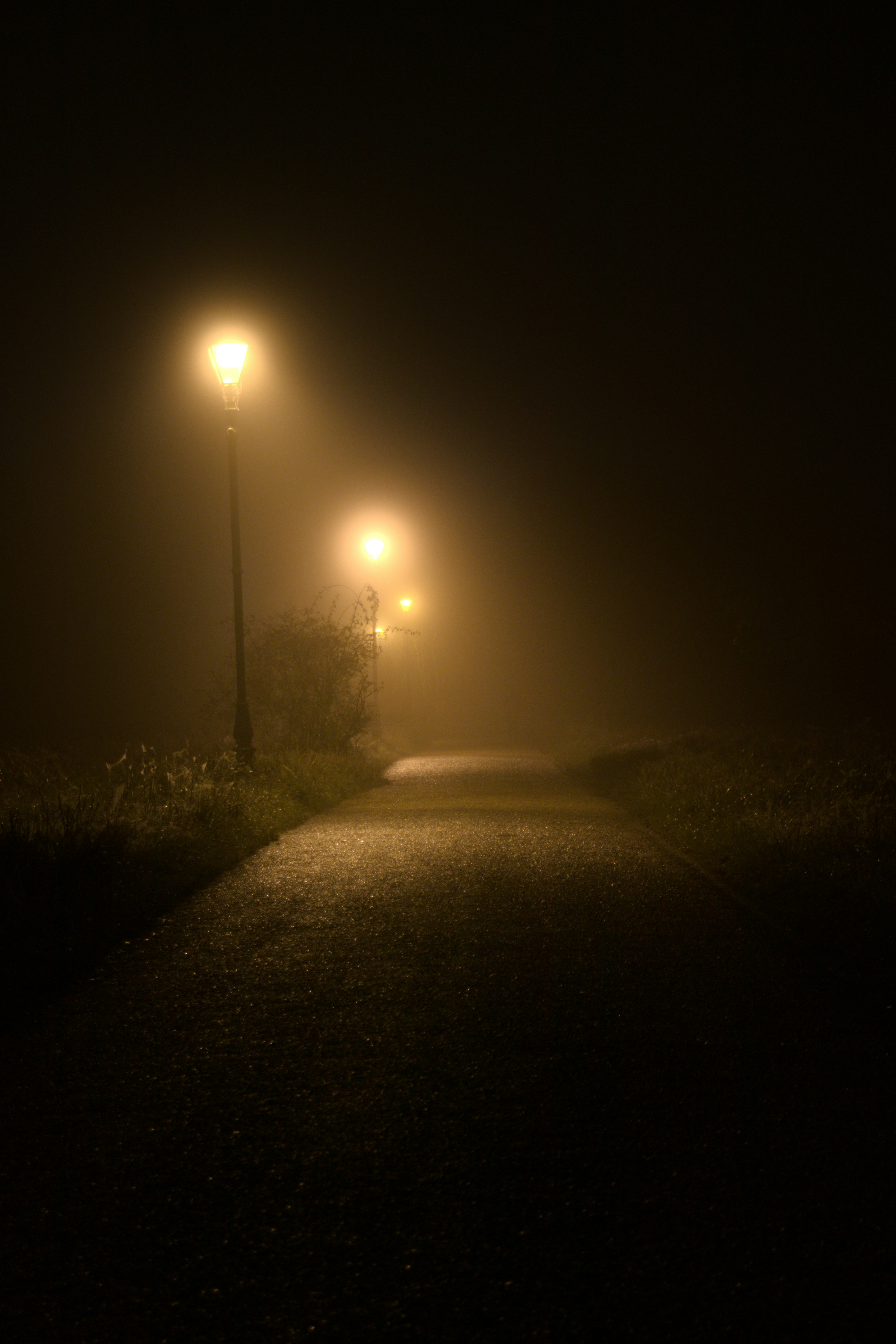 spooky night array